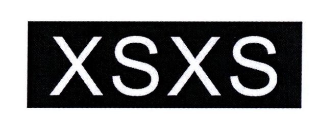 XS商標(biāo) 企業(yè)品牌戰(zhàn)略的核心資產(chǎn)與專(zhuān)業(yè)查詢(xún)代理服務(wù)指南