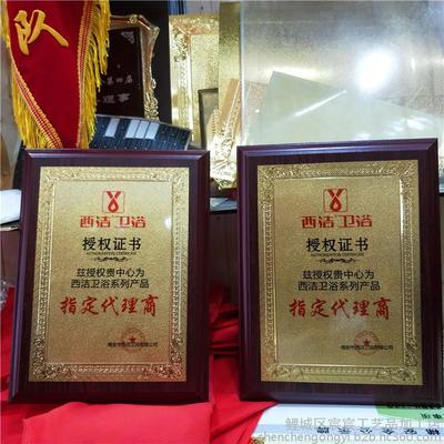 5G通信技術服務典范 定制金箔獎牌與榮譽牌匾，